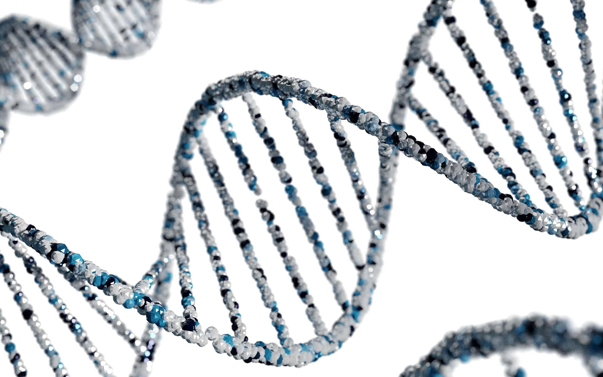 dna strand
